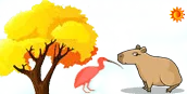 Fauna y Flora del Llano