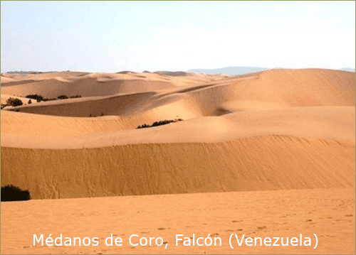 Médanos en Venezuela Médanos