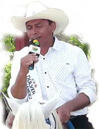 Pajarillo - Dúlver Hernández Pajarillo - Dúlver Hernández